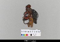 藏品(中國湖北皮影戲偶頭-生)的圖片